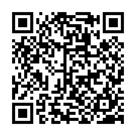 QR code for IIN024