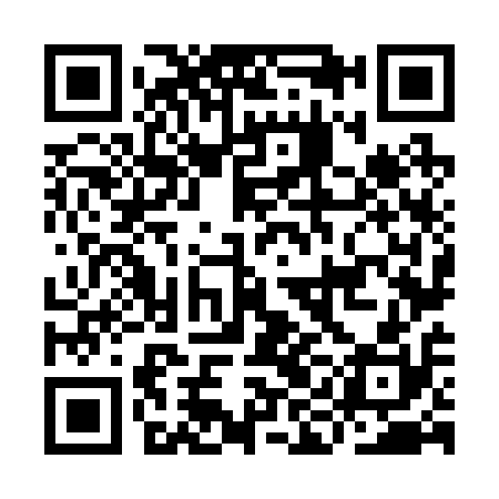 QR code for IIN210