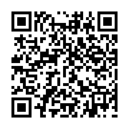 QR code for IIN267