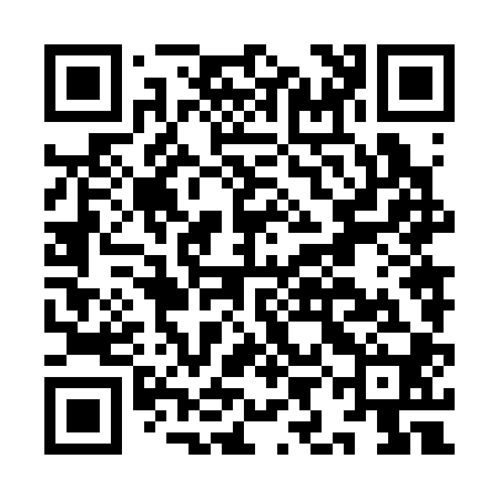 QR code for IIN300