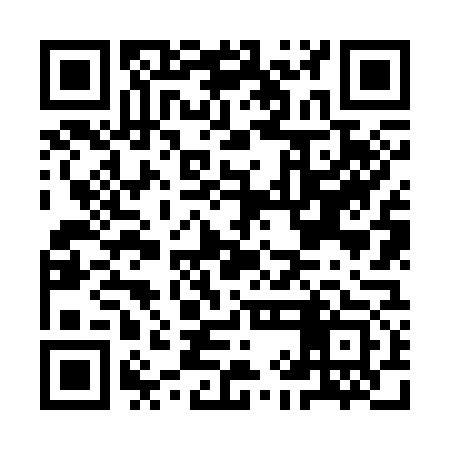 QR code for IIN373