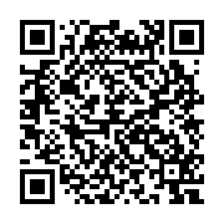 QR code for IIO317