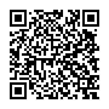 QR code for IIT433