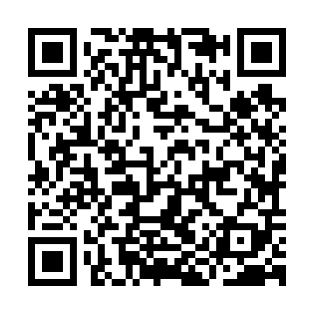 QR code for IIZ609