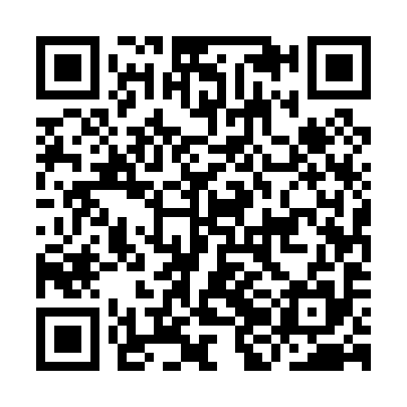 QR code for IJE095