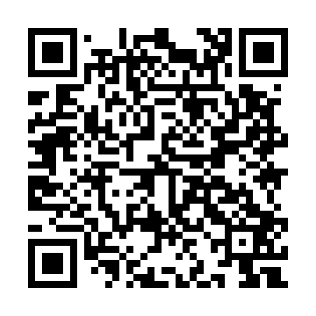 QR code for IJI503