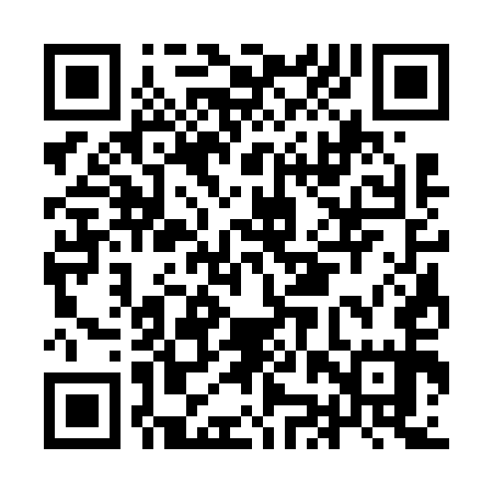 QR code for IJS655
