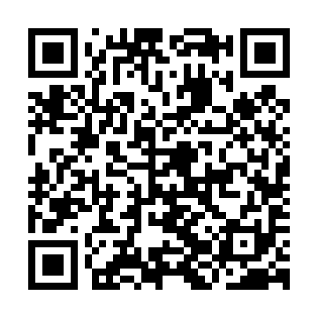 QR code for IJV491