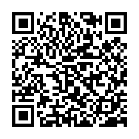 QR code for IMM401