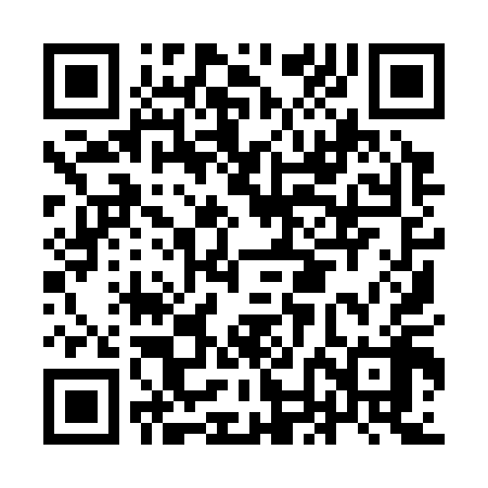 QR code for INI318