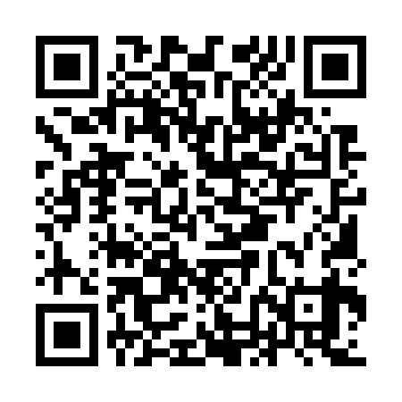 QR code for INM739