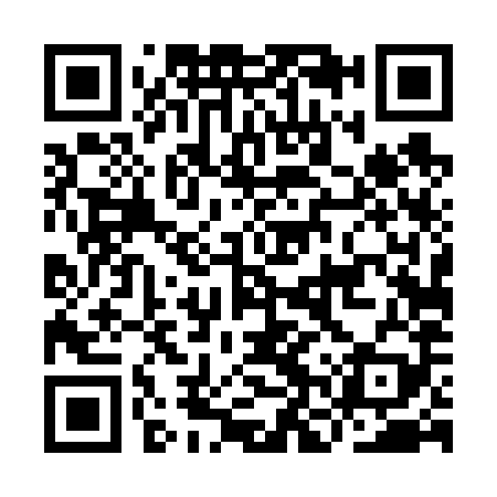 QR code for INT689