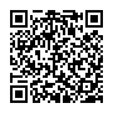 QR code for IPV498