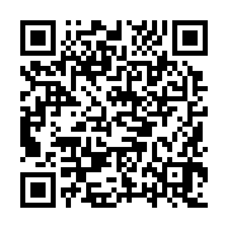 QR code for IRI382