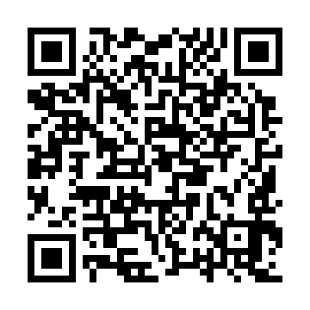 QR code for IRI393