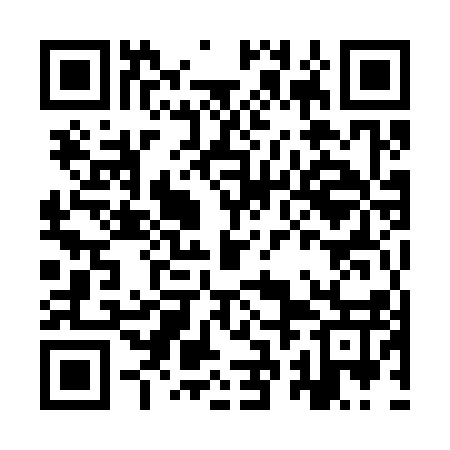 QR code for IRM317