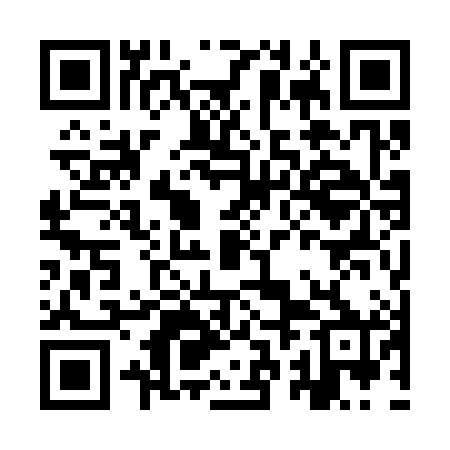 QR code for IRO380