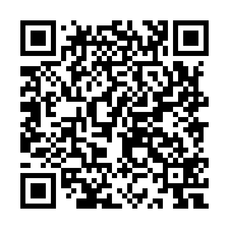 QR code for ISH919
