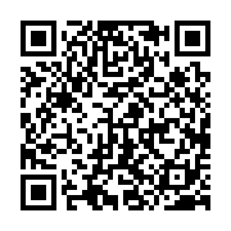 QR code for IVP311