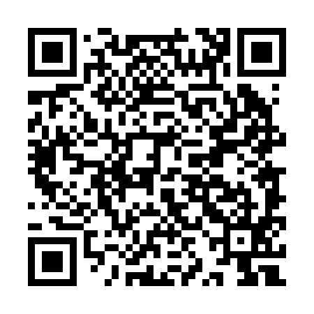 QR code for IZD295