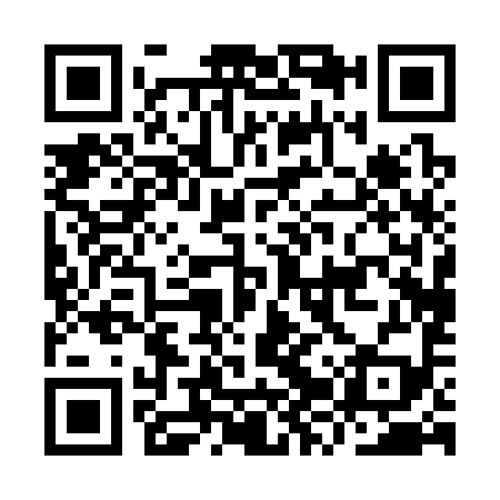 QR code for IZP399