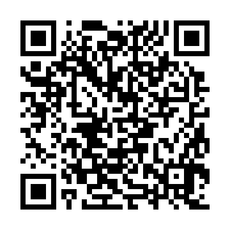 QR code for IZS386