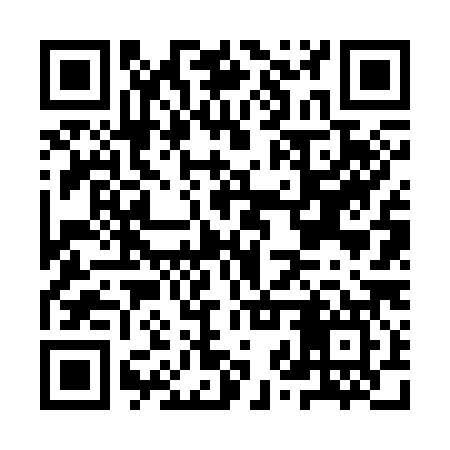 QR code for IZV387