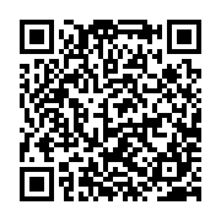 QR code for JPT384