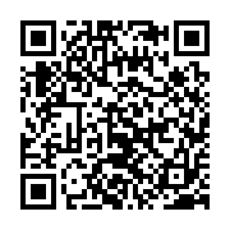QR code for JVV313