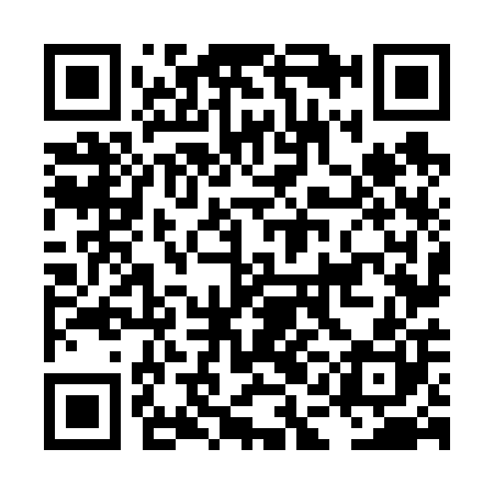 QR code for LAN600