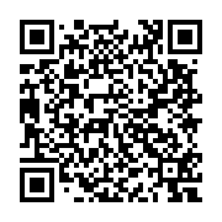 QR code for LAY511