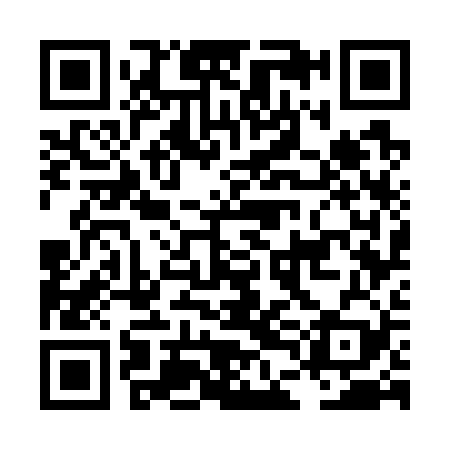 QR code for LDG729