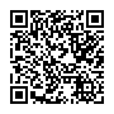 QR code for LDV374