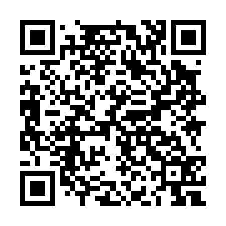 QR code for LFI036
