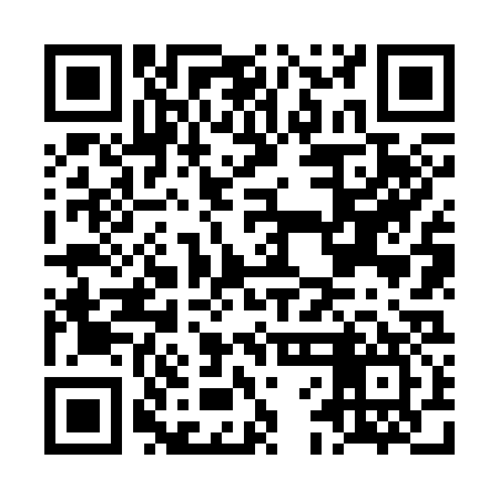 QR code for LFN337