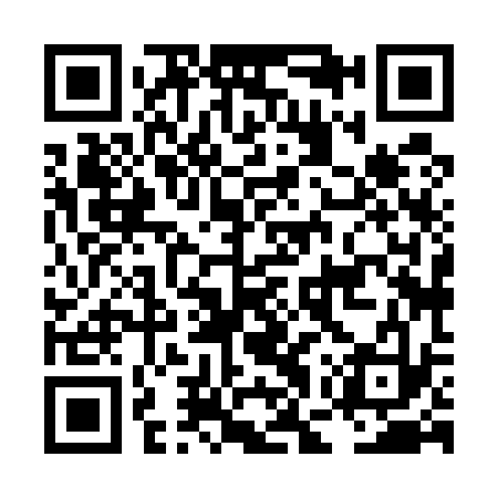 QR code for LGX533