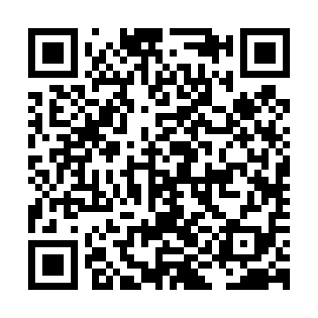 QR code for LIB419