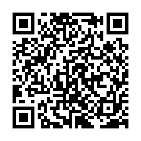 QR code for LIG313
