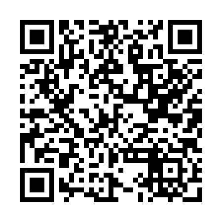 QR code for LIL383