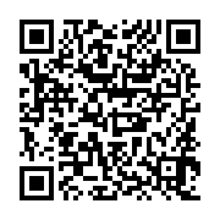 QR code for LIL990