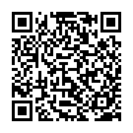QR code for LIS385