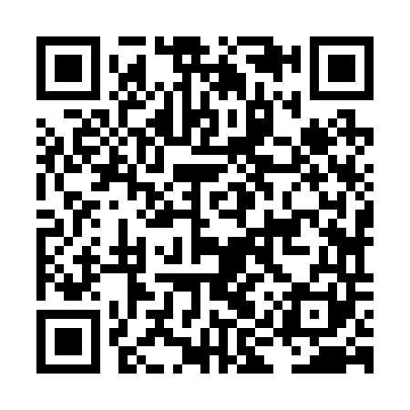QR code for LIZ241