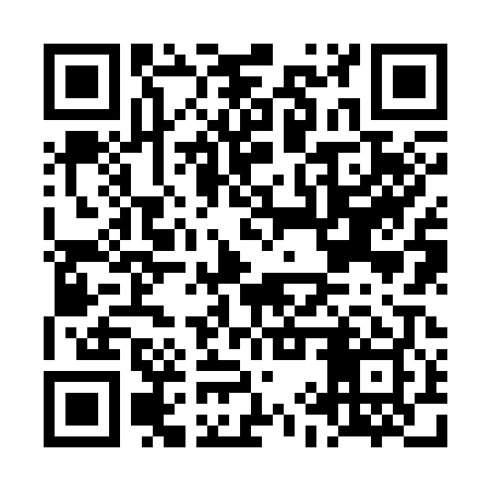 QR code for LIZ309