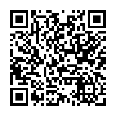 QR code for LIZ385