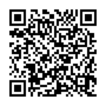 QR code for LIZ387