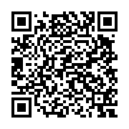 QR code for LKB411