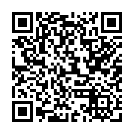 QR code for LKM313
