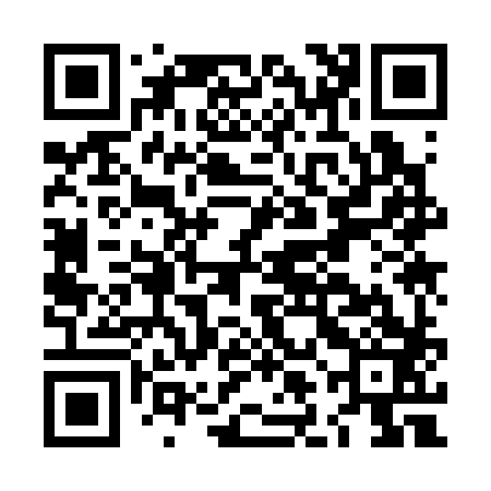 QR code for LLK383