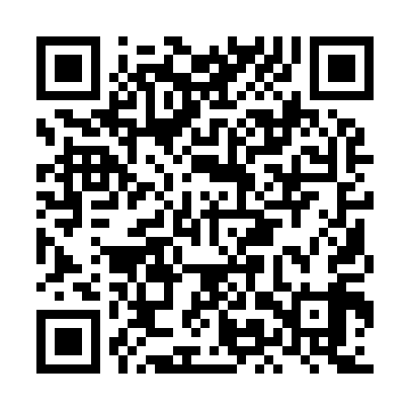 QR code for LMQ919