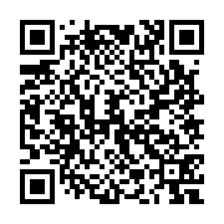 QR code for LMZ171